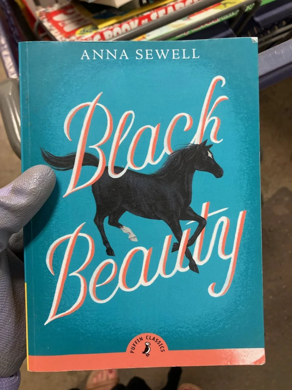 A photograph of a paperback copy of black beauty. 