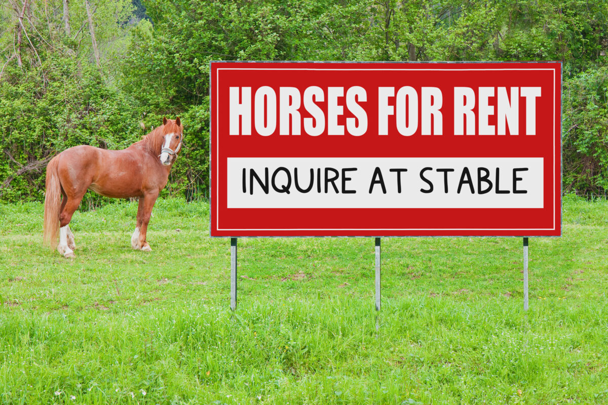 horse-rental-101-a-guide-to-renting-a-horse-learninghorses