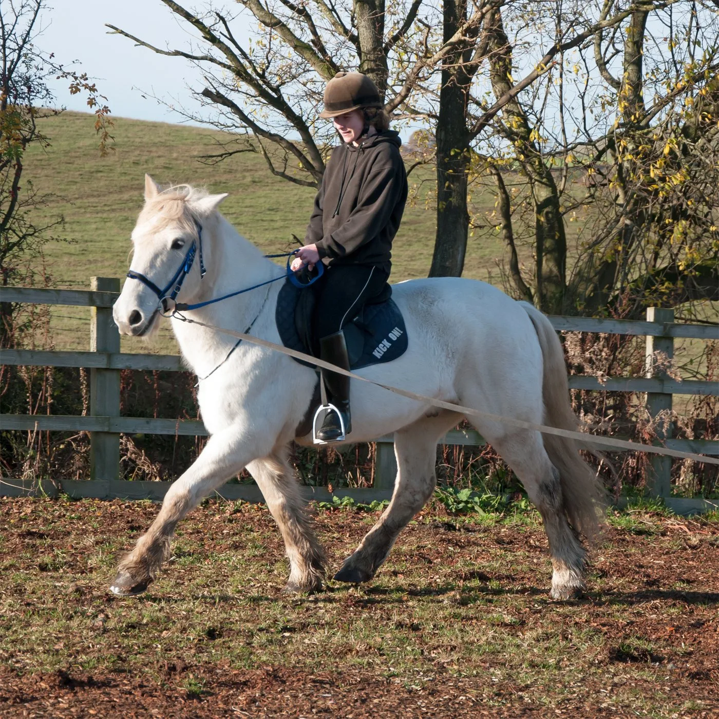 A novice rider on a horse