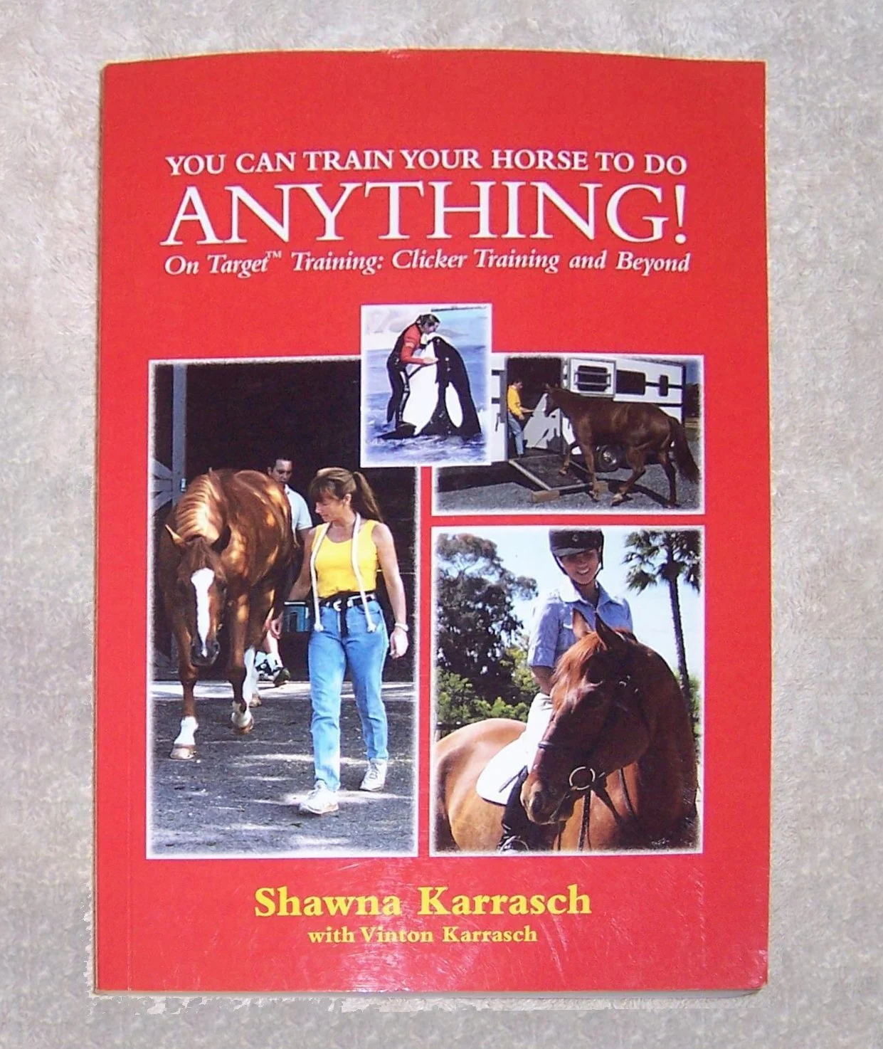 Cover of a horse trick training book.