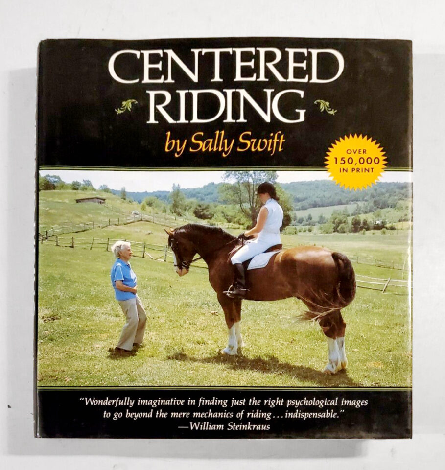 Horseback Riding Saddle Sores Healing & Preventing