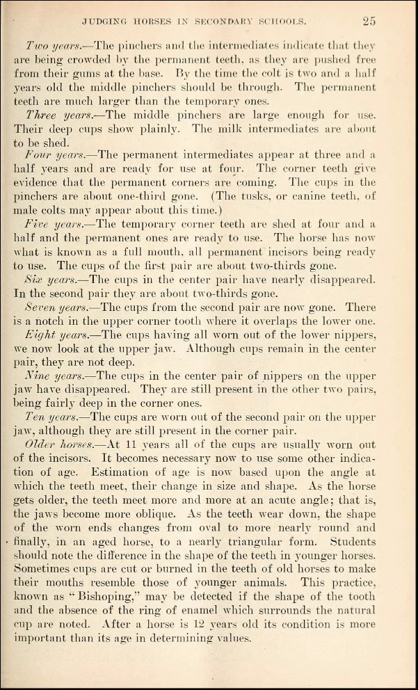 A department of agriculture pamphlet from 1919 instructing students how to tell a horse's age by looking at its teeth.