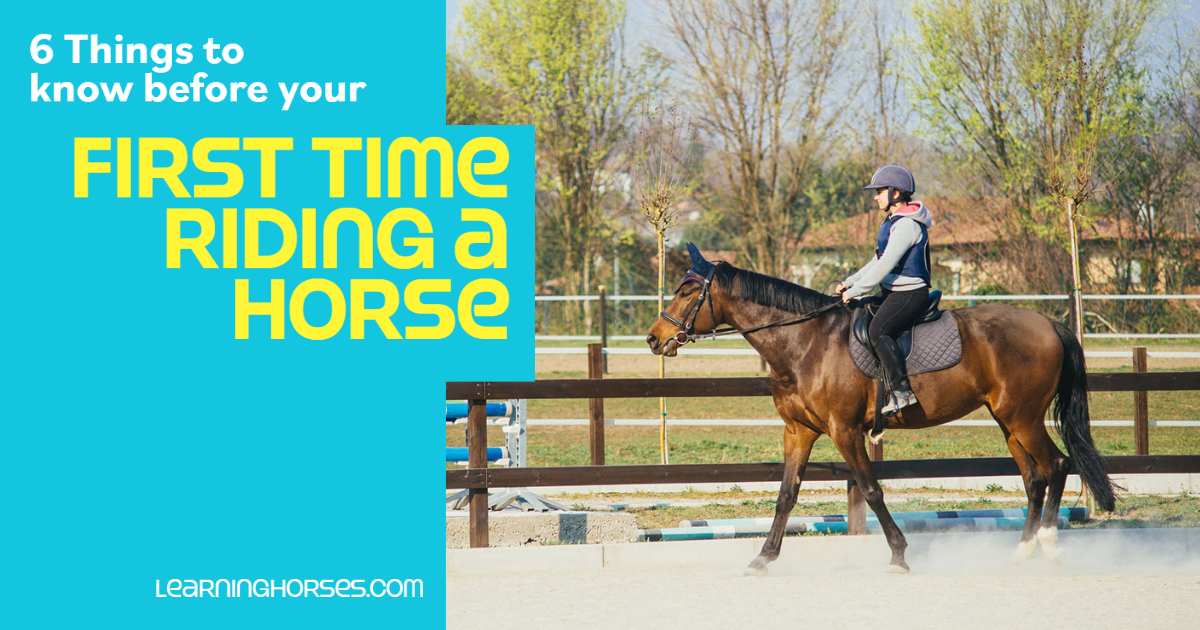 Your First Time Riding a Horse What to Expect