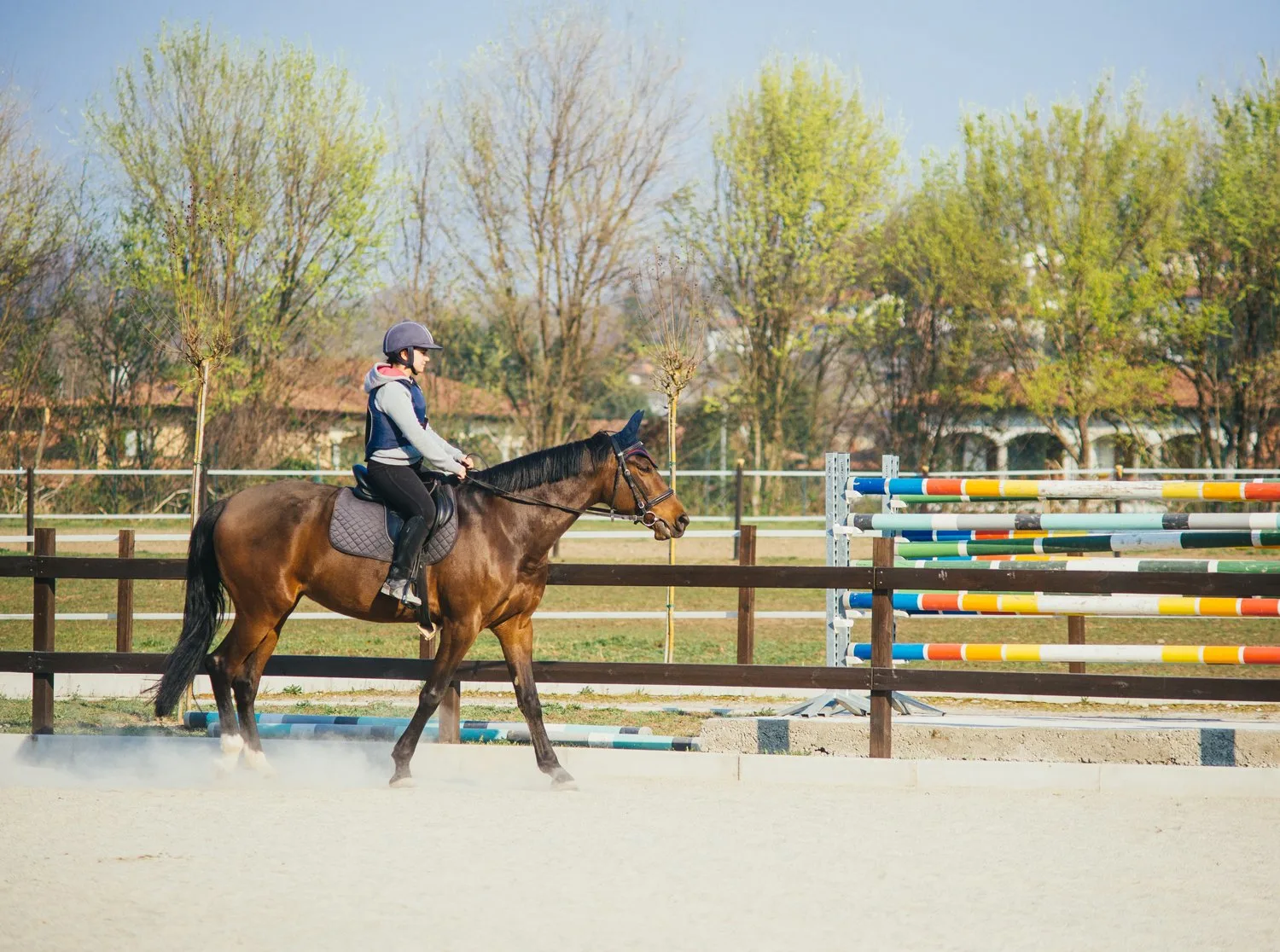 A photo of a person riding a horse in a riding lesson.