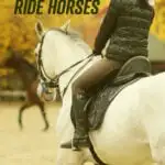 A graphic with a horse and rider and text saying how to get paid to ride horses.