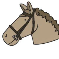 A horse with a bridle
