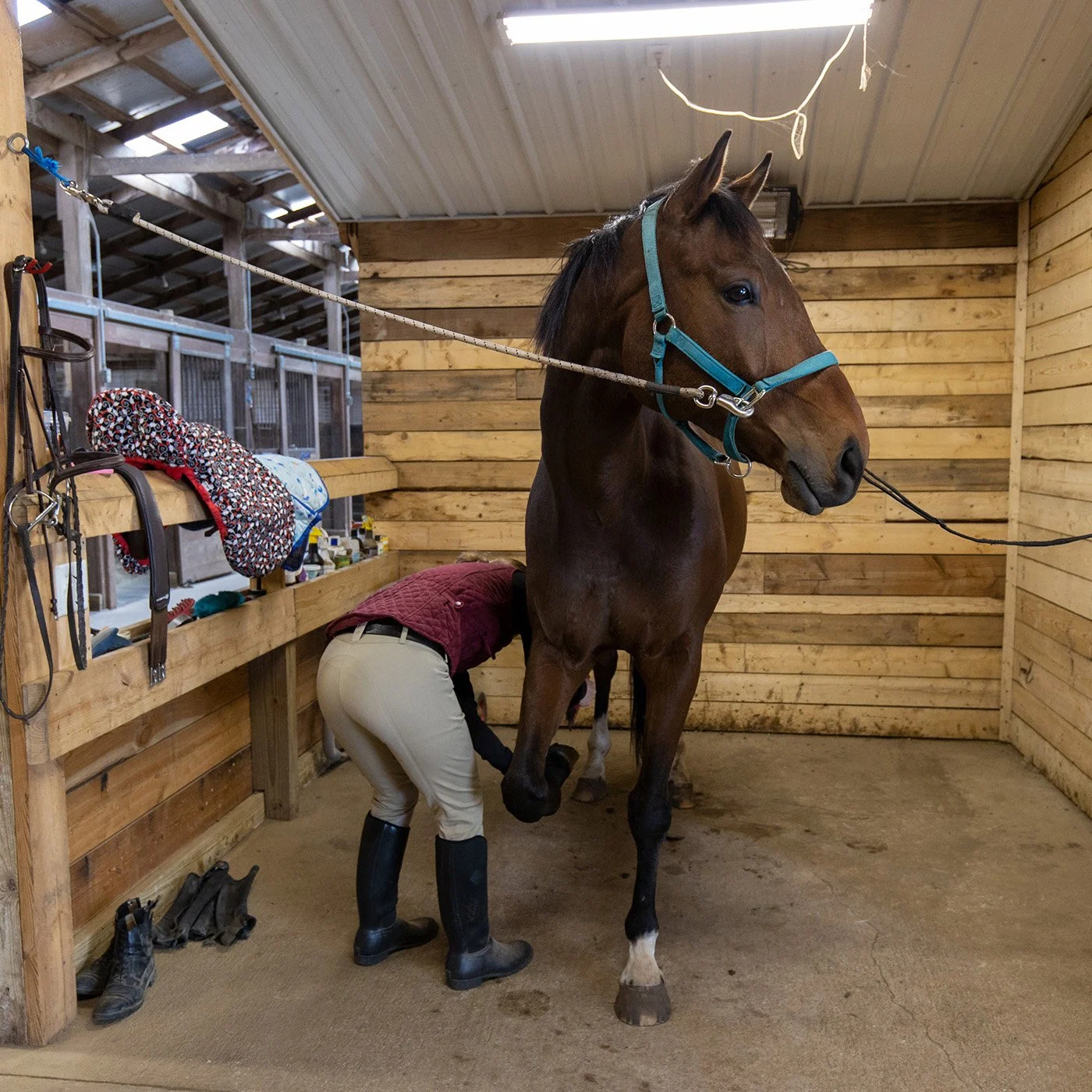 a person bends over to clean a hood as a horse stands in a wash stall
