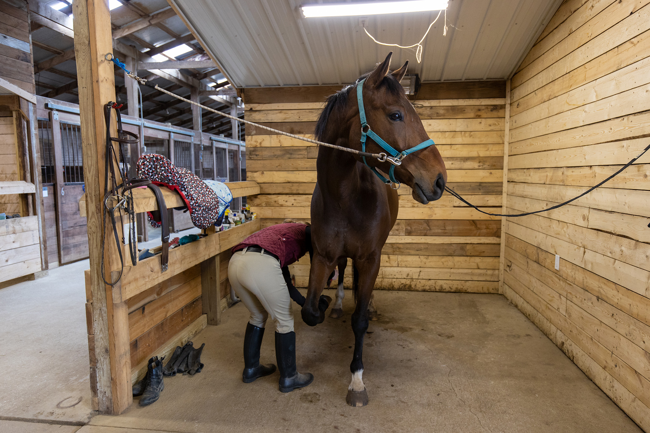 a person bends over to clean a hood as a horse stands in a wash stall