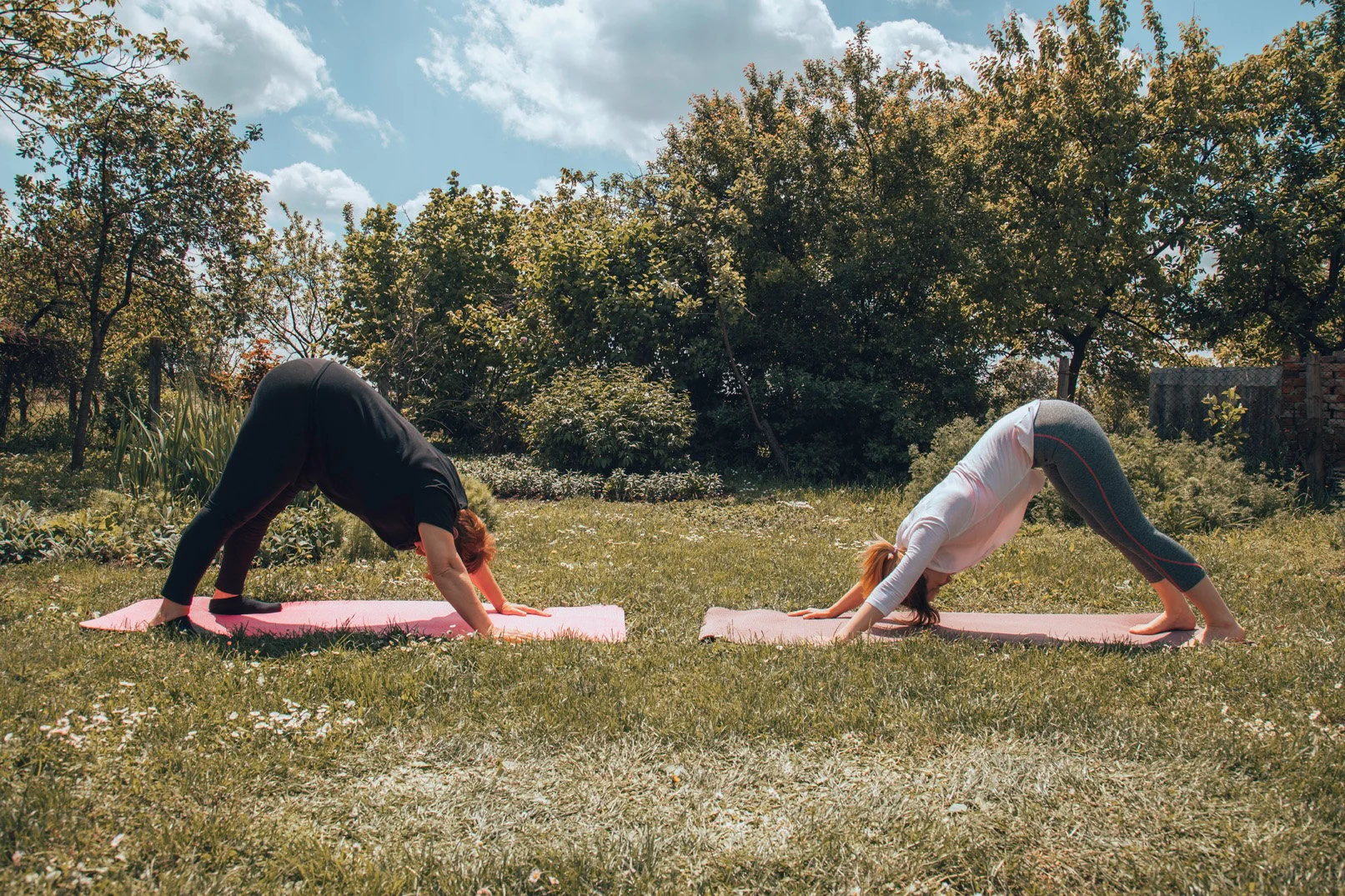 Horseback riders practicing yoga for lower back strength.