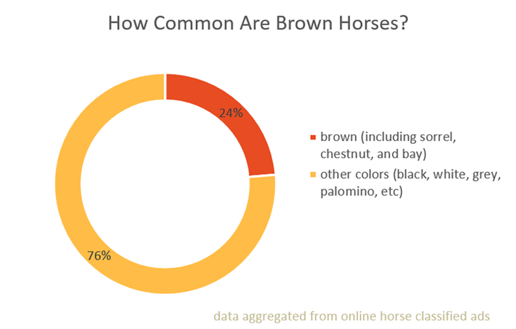 A donut chart illustrating the findings of our research on how common brown horses are
