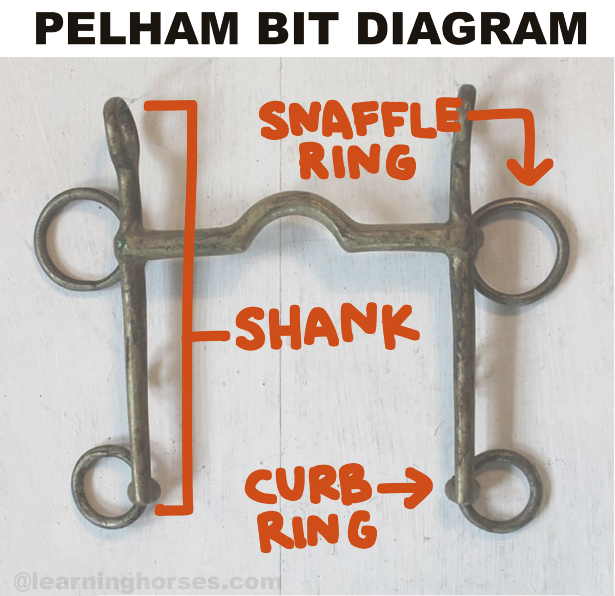 Understanding Pelham Bits & How They Work | LearningHorses.com