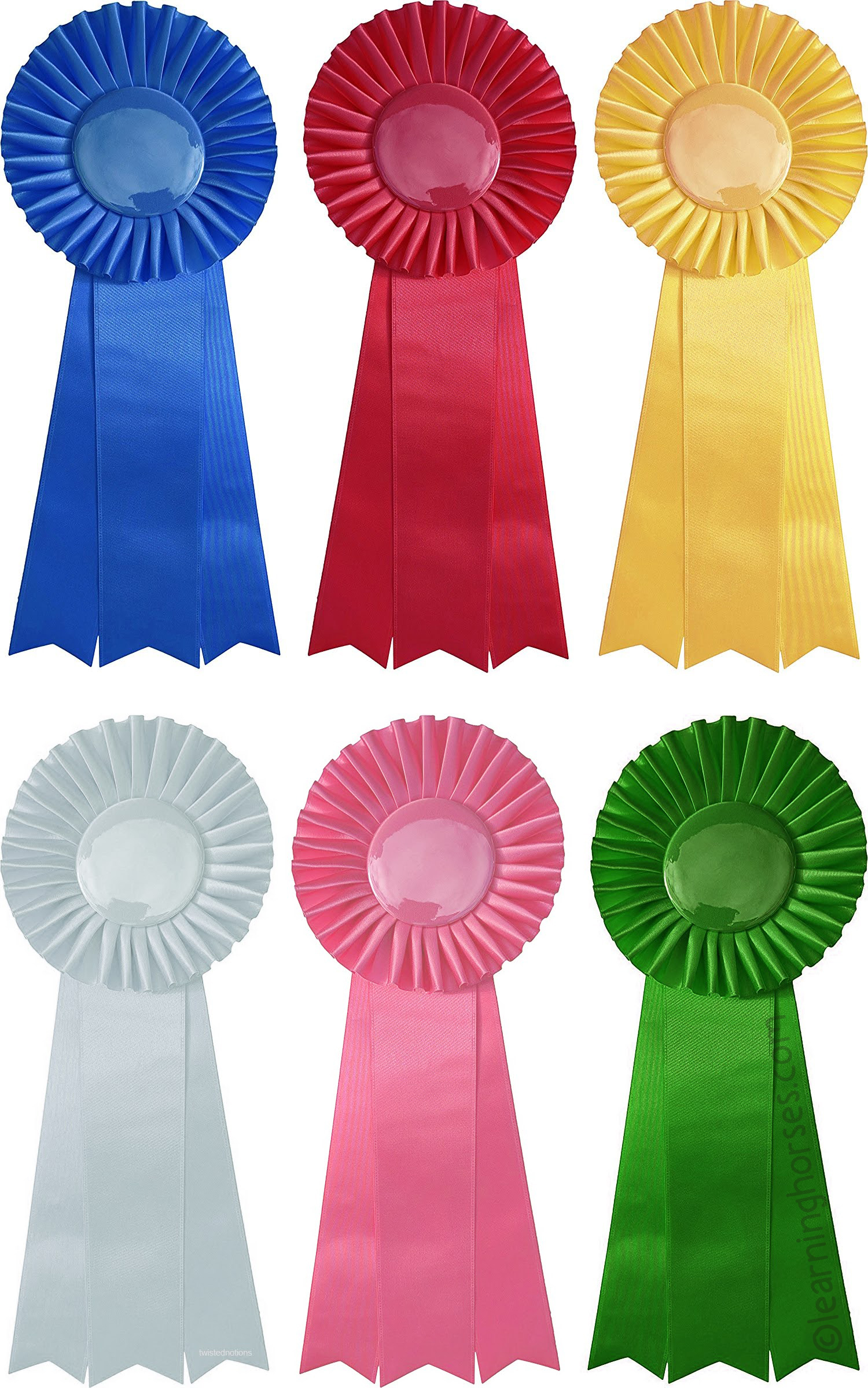 A lineup of horse show ribbons in order from first place to sixth place.