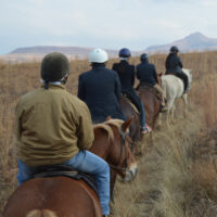 trail riders on vacation in Africa