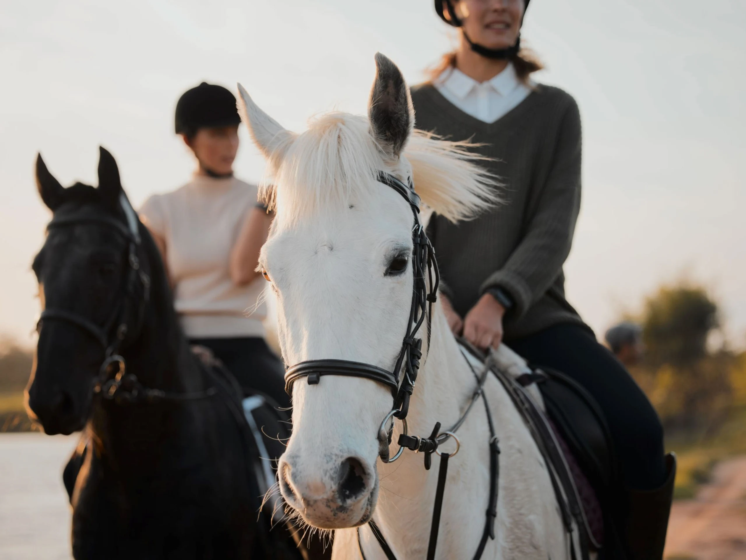 Photo of two women, one on a black horse and the other on a white horse.