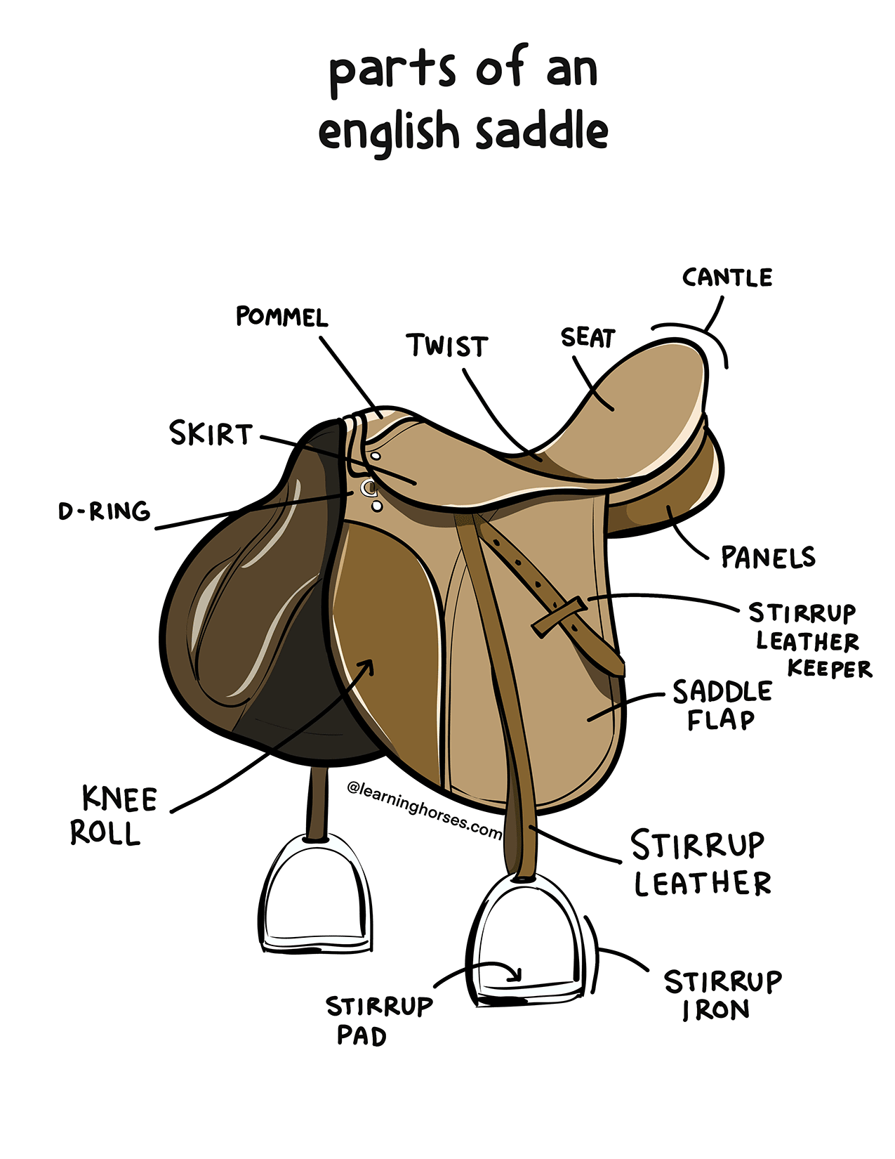 An labeled diagram of the parts of an english saddle