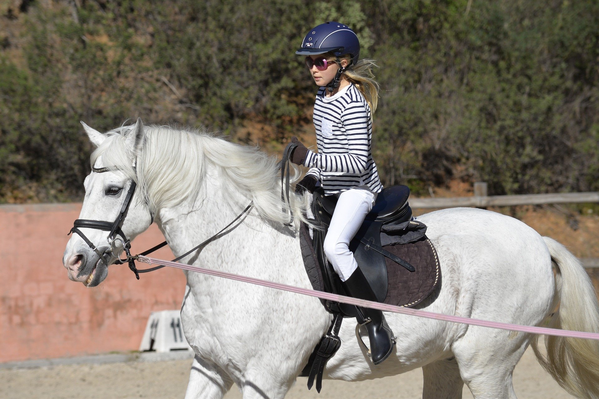 Learning to tack up correctly is essential for safe riding and part of becoming a good rider.