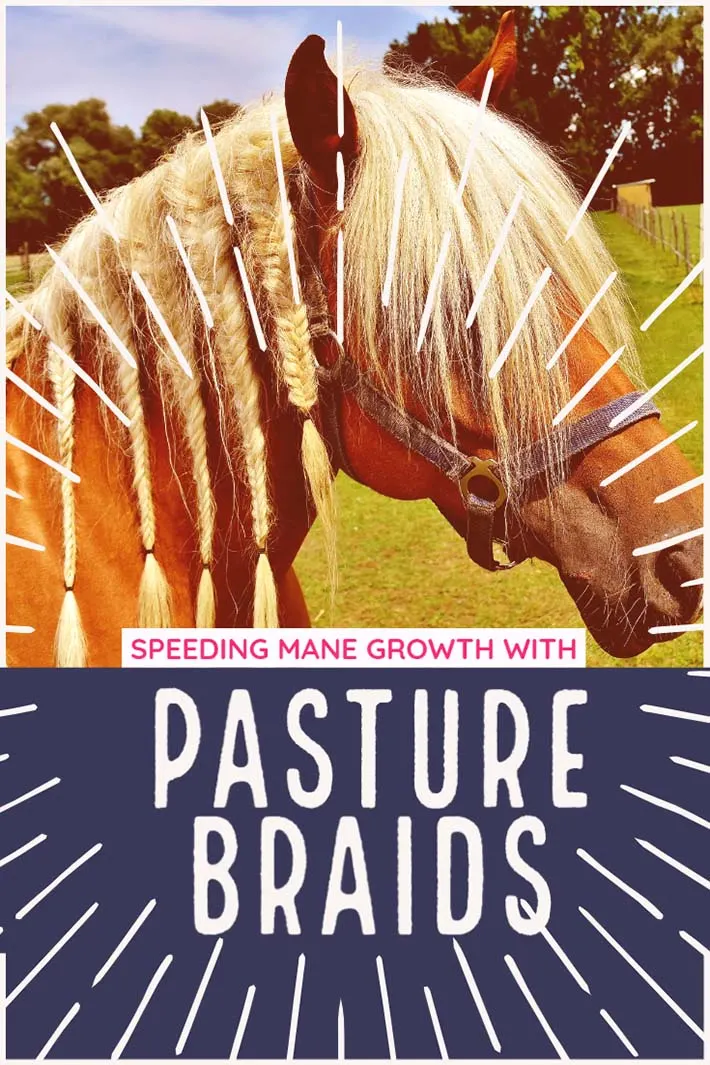 grow mane faster with braids