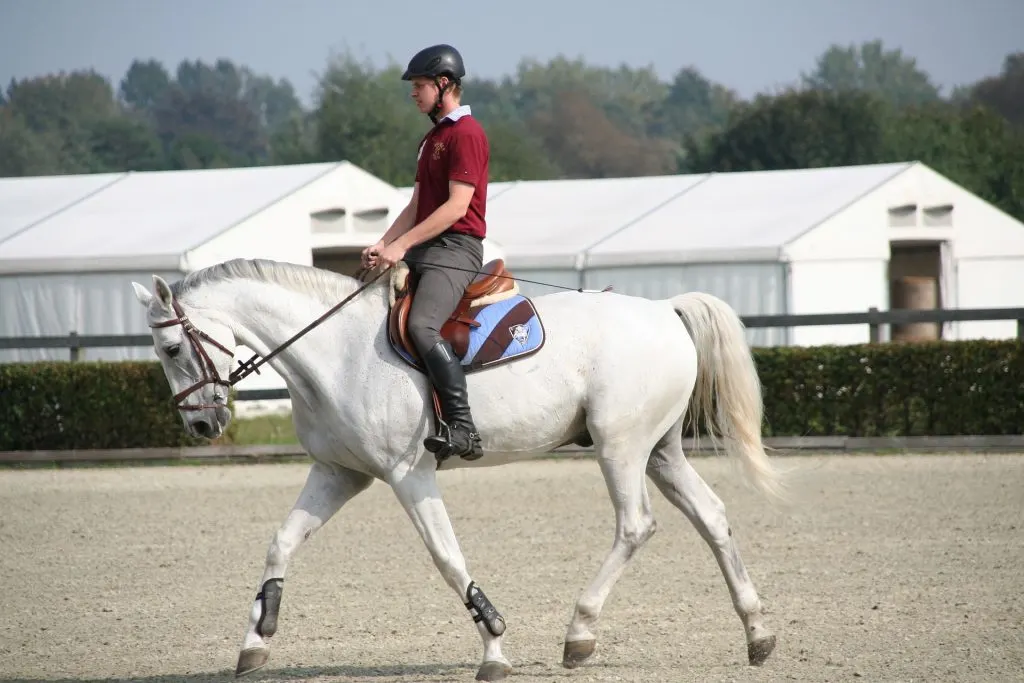  learning how to set during a trot can be challenging for many new riders 