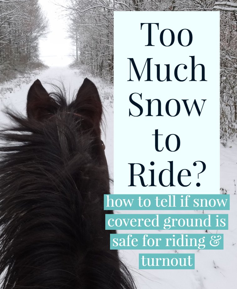 ride and turnout in snow