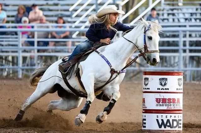 fast horses are desired for some horse sports, but even in these events controlling speed is important