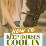 Tips for keeping horses cool and comfortable during summer heat, soaring temperatures, and heat waves.