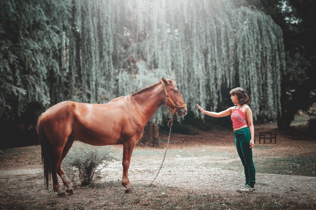 A horse that is easy to handle when not being ridden makes life easier for everyone