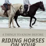 Horseback riding on the beach image with text